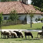 Kamp alanı Sevservices Aux Dunes De Contis Saint-Julien-en-Born