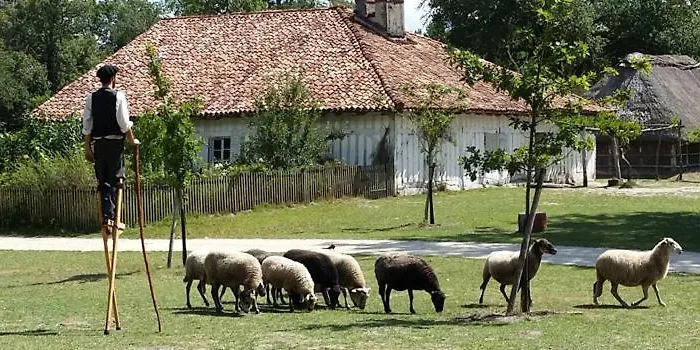 Campeggio Sevservices Aux Dunes De Contis Saint-Julien-en-Born