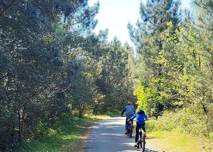 אתר קמפינג Sevservices Aux Dunes De Contis